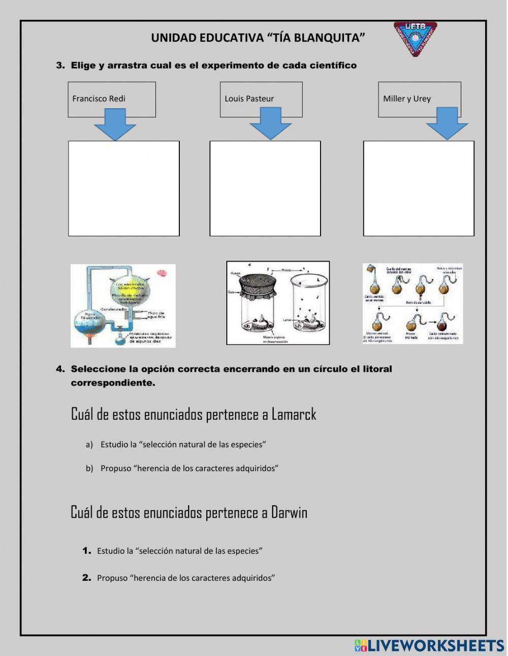 Teorias del Origen de la Vida