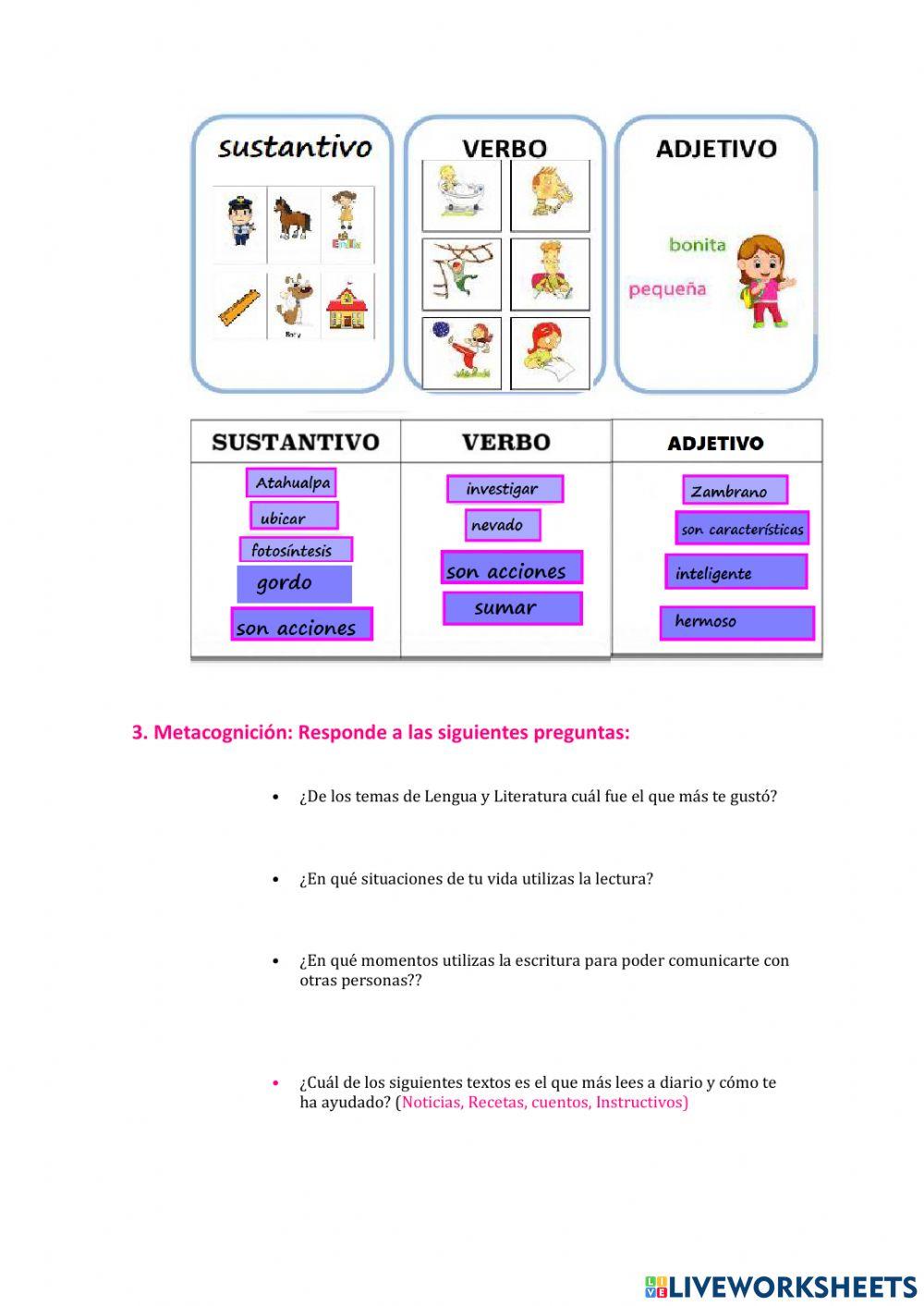 Primer quimestre lyl