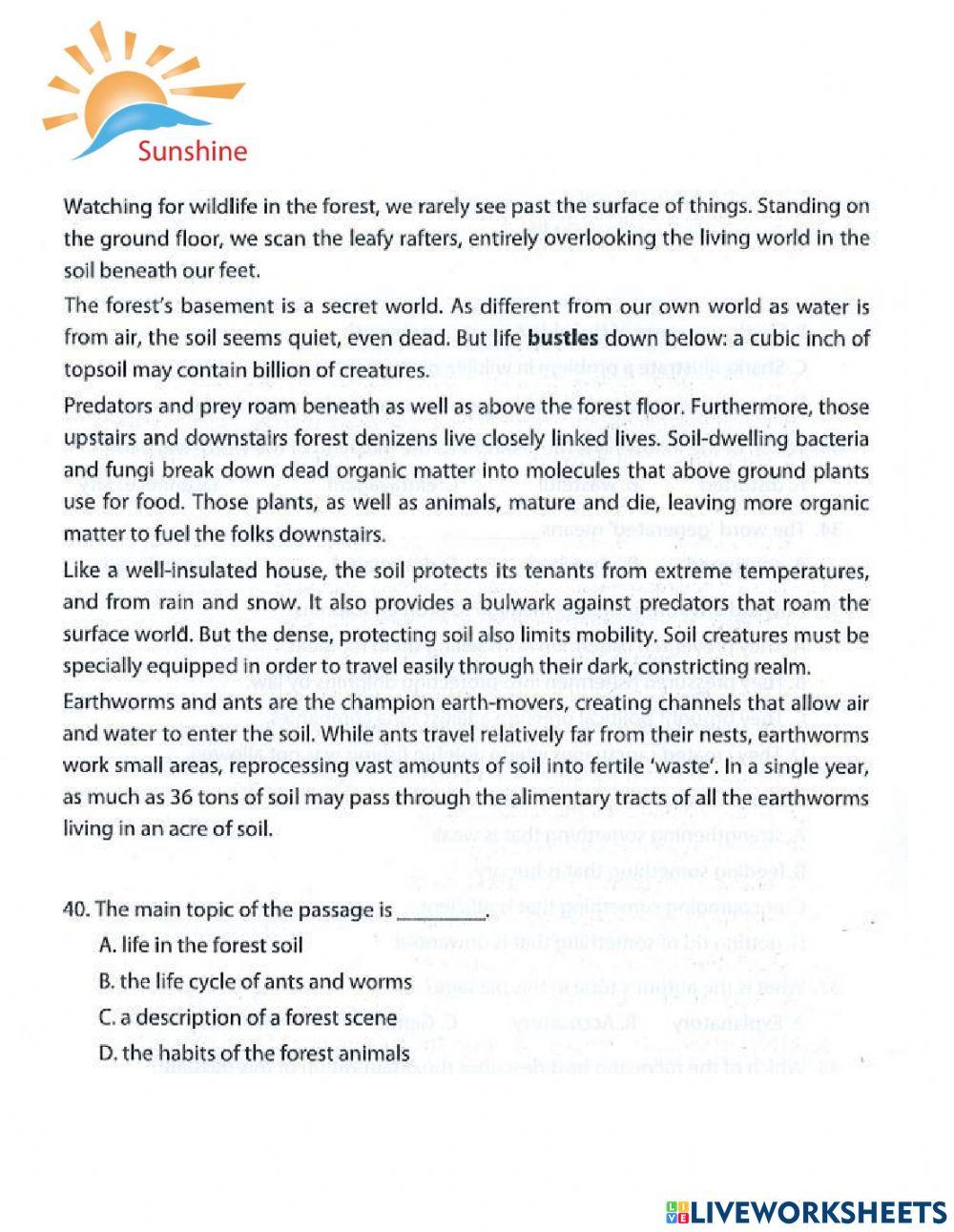 THPT - Practice test 10