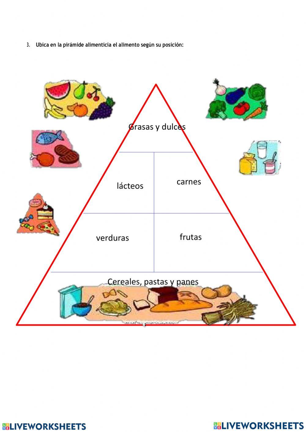 Piramide alimenticia