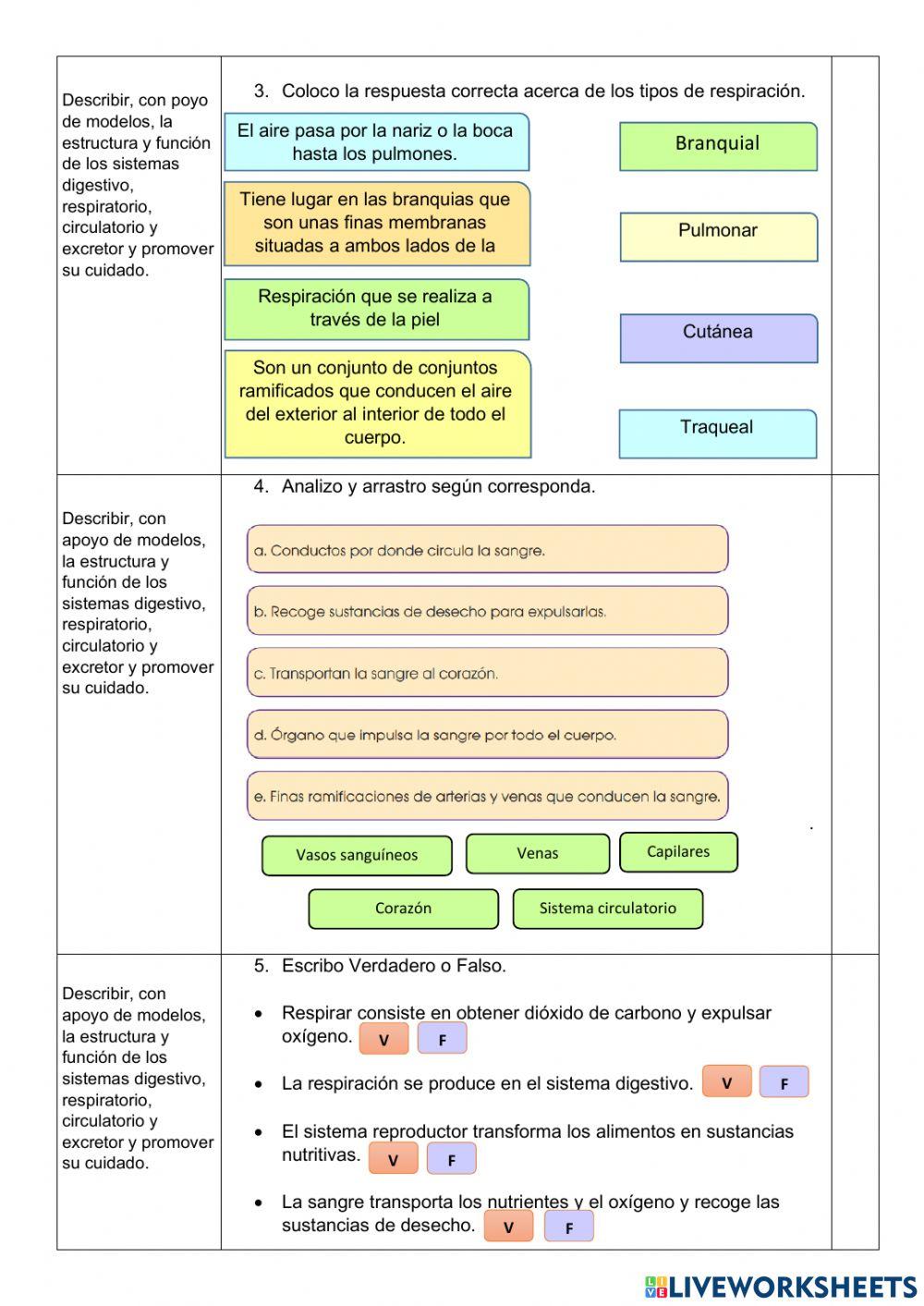 Examen CCNN quinto EGB -B-