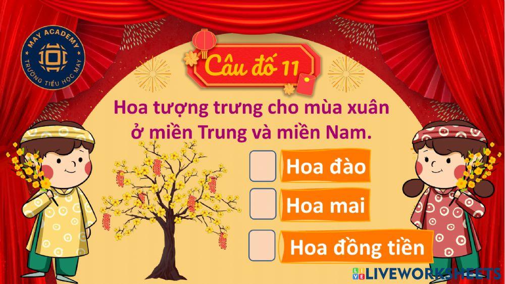 Dự án Tết 2022: PHẦN 2