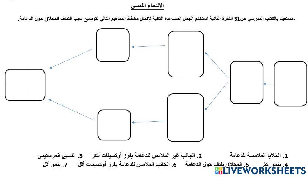 الانتجاء اللمسي
