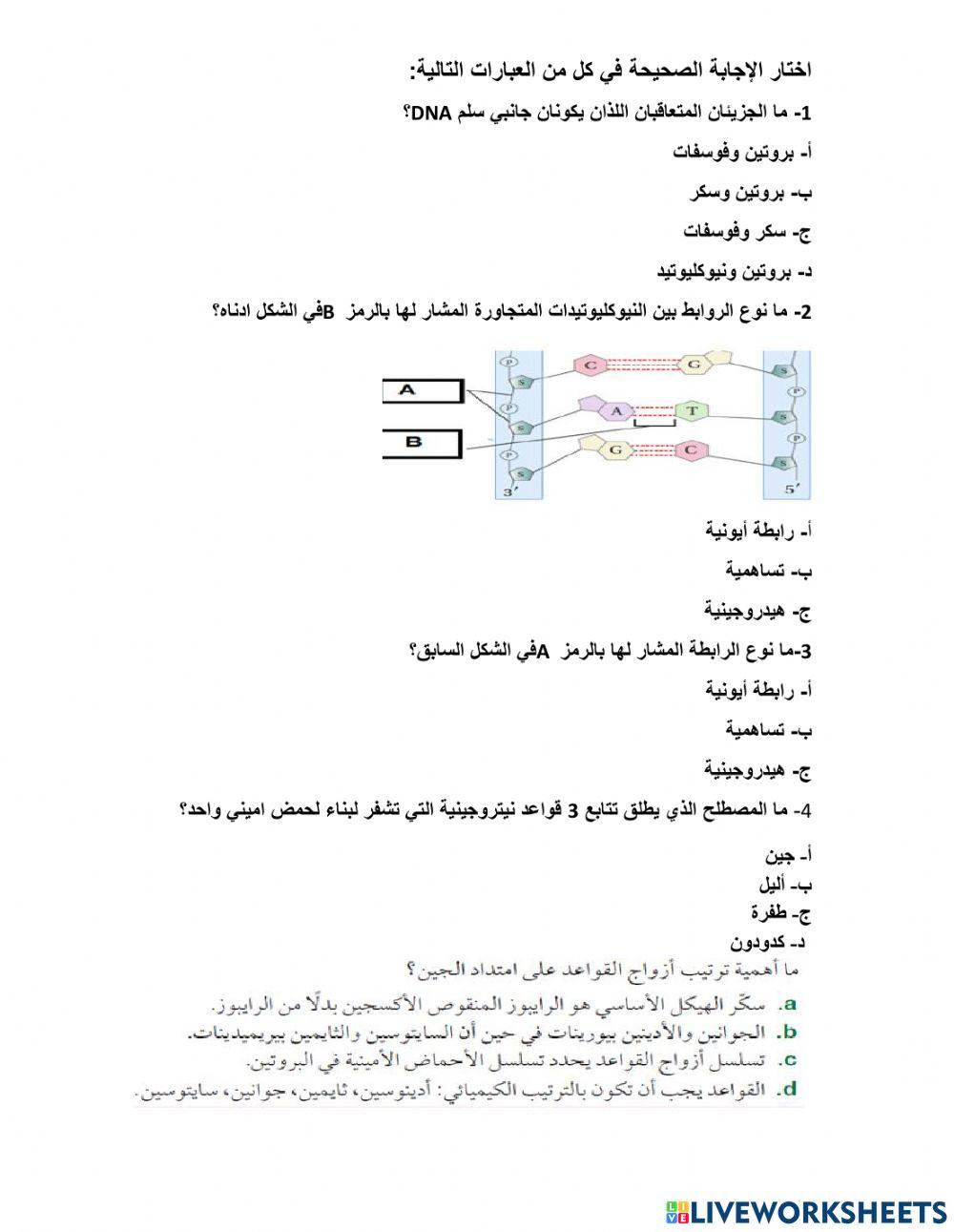 تركيب dna