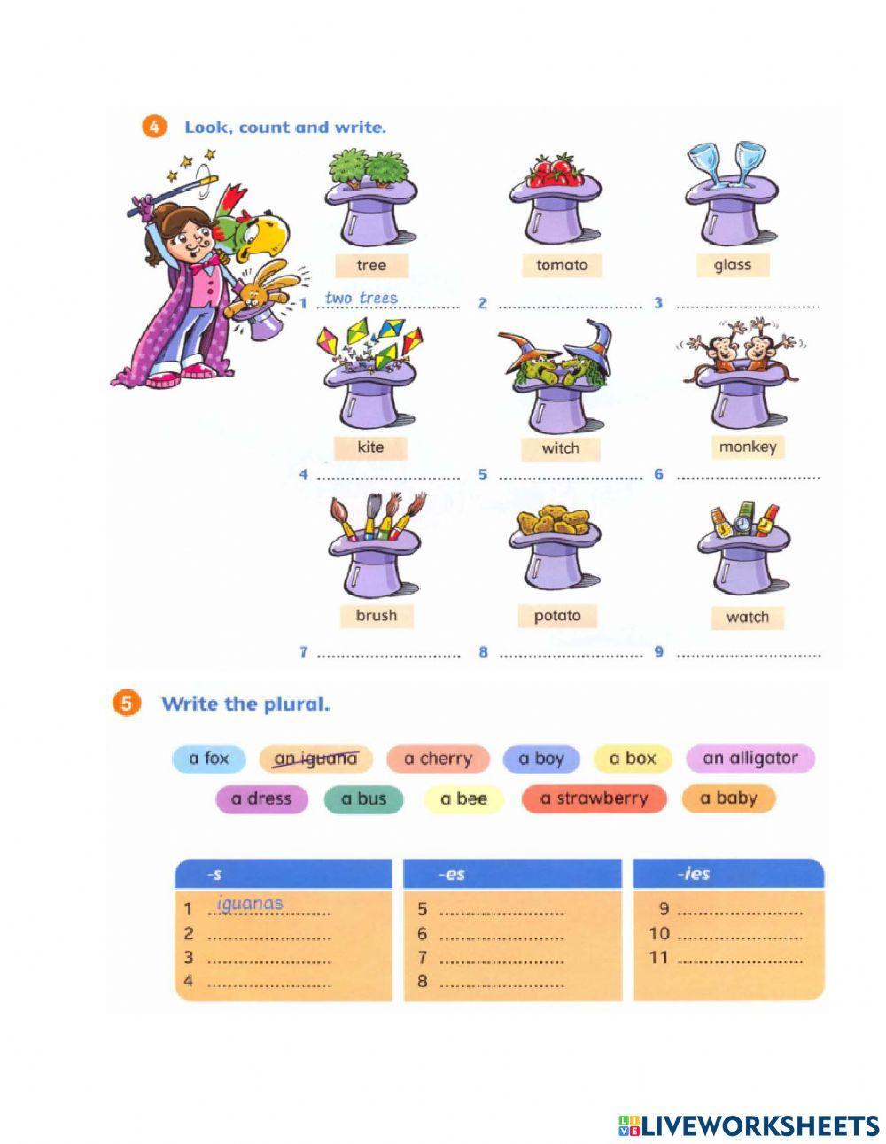 Singular and plural (regular - irregular) nouns