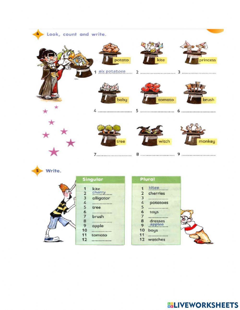 Singular and plural (regular - irregular) nouns