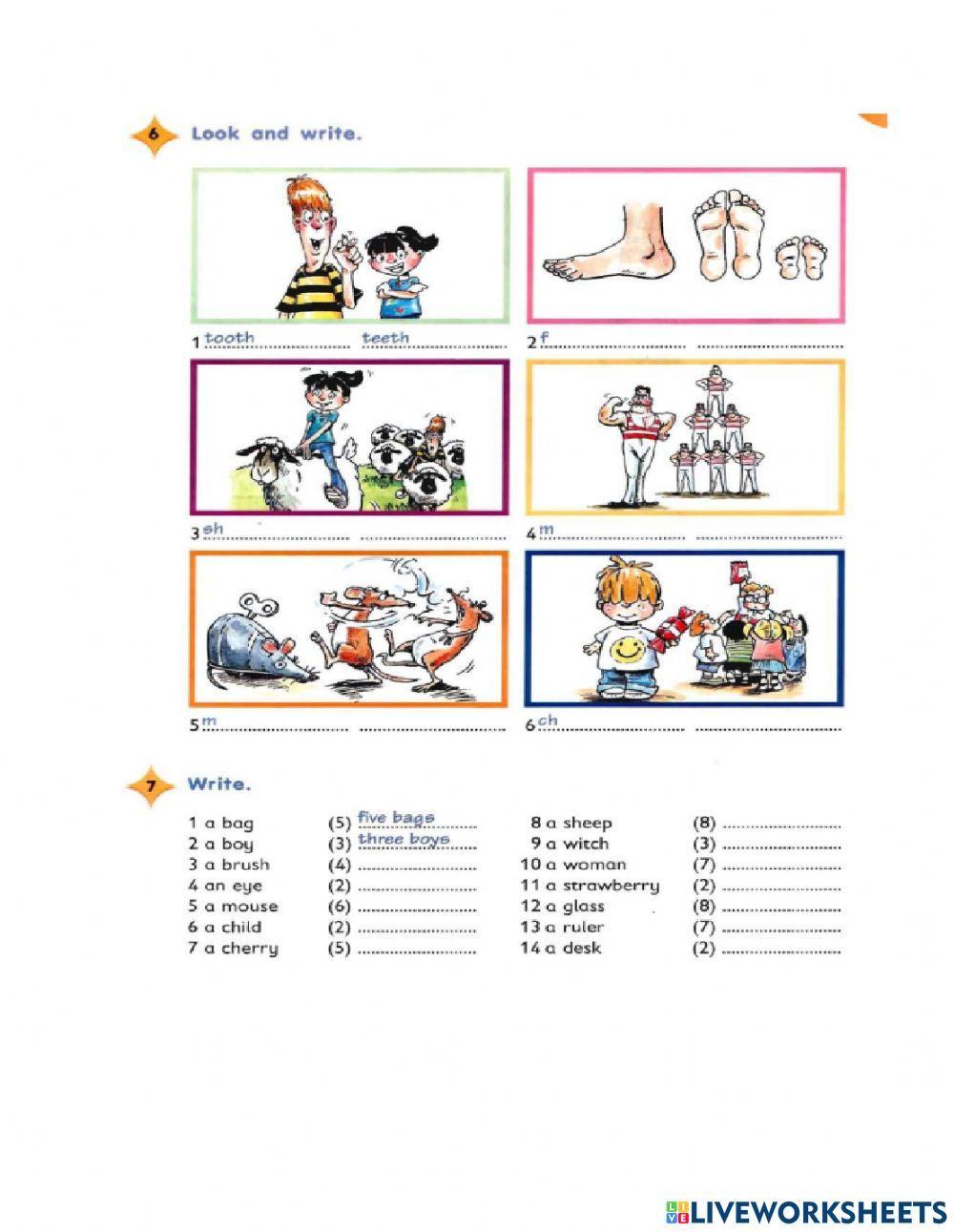 Singular and plural (regular - irregular) nouns