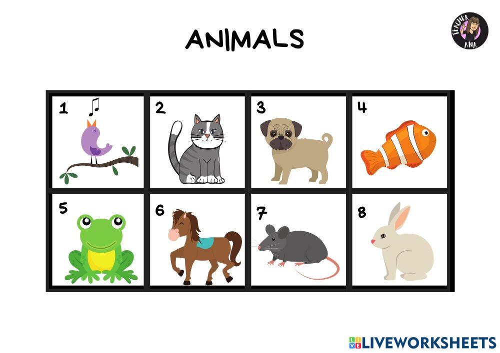 Animals