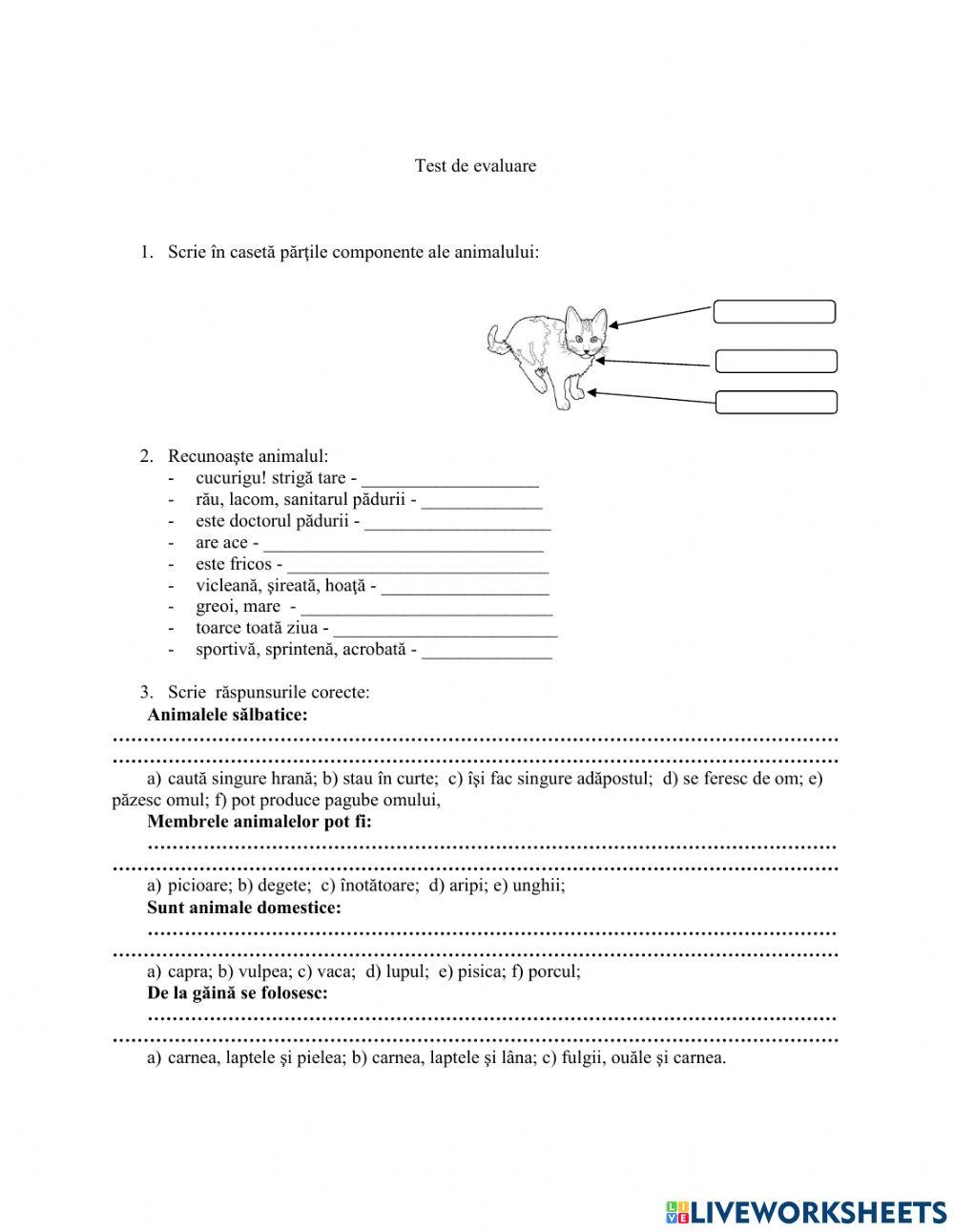 Ce știu despre animale?