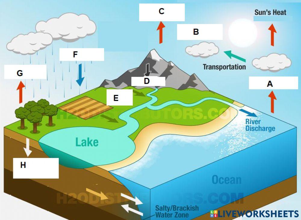 Water cycle