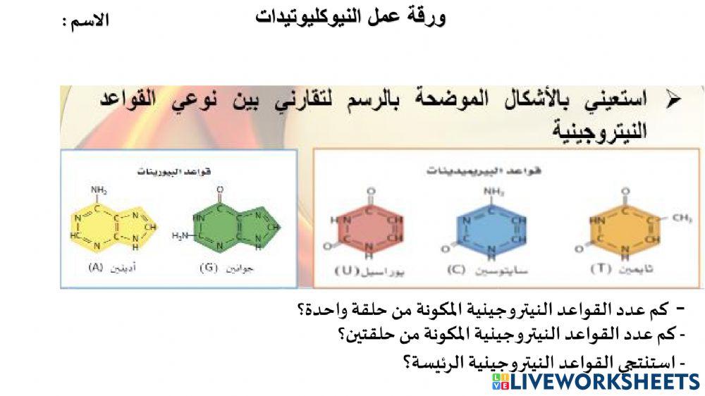 القواعد النيتروجينية