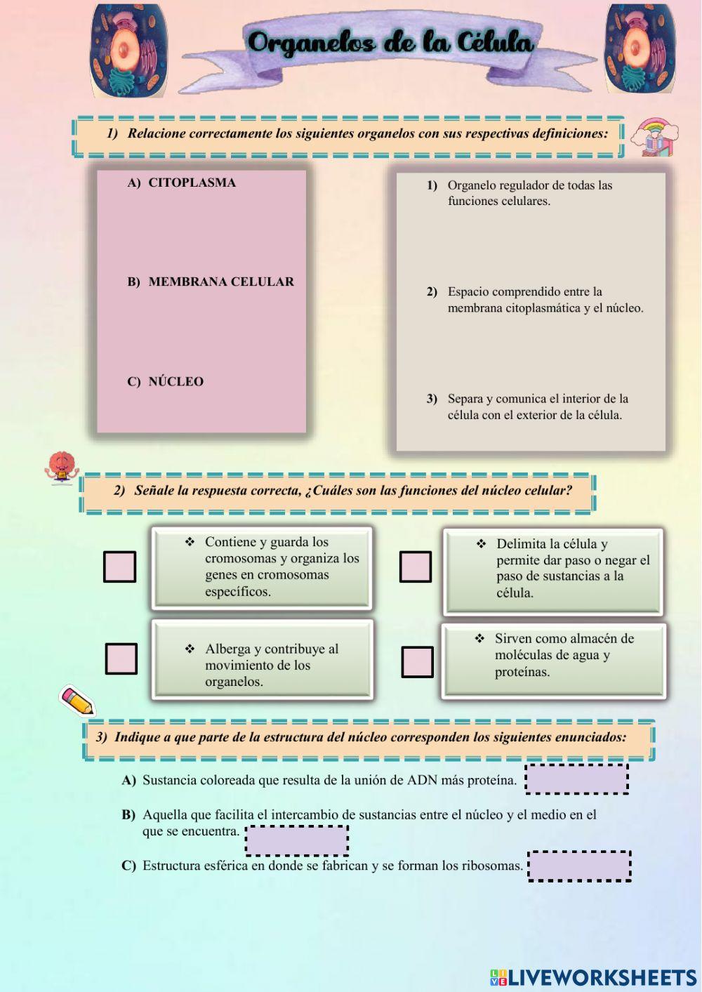 Organelos de la célula