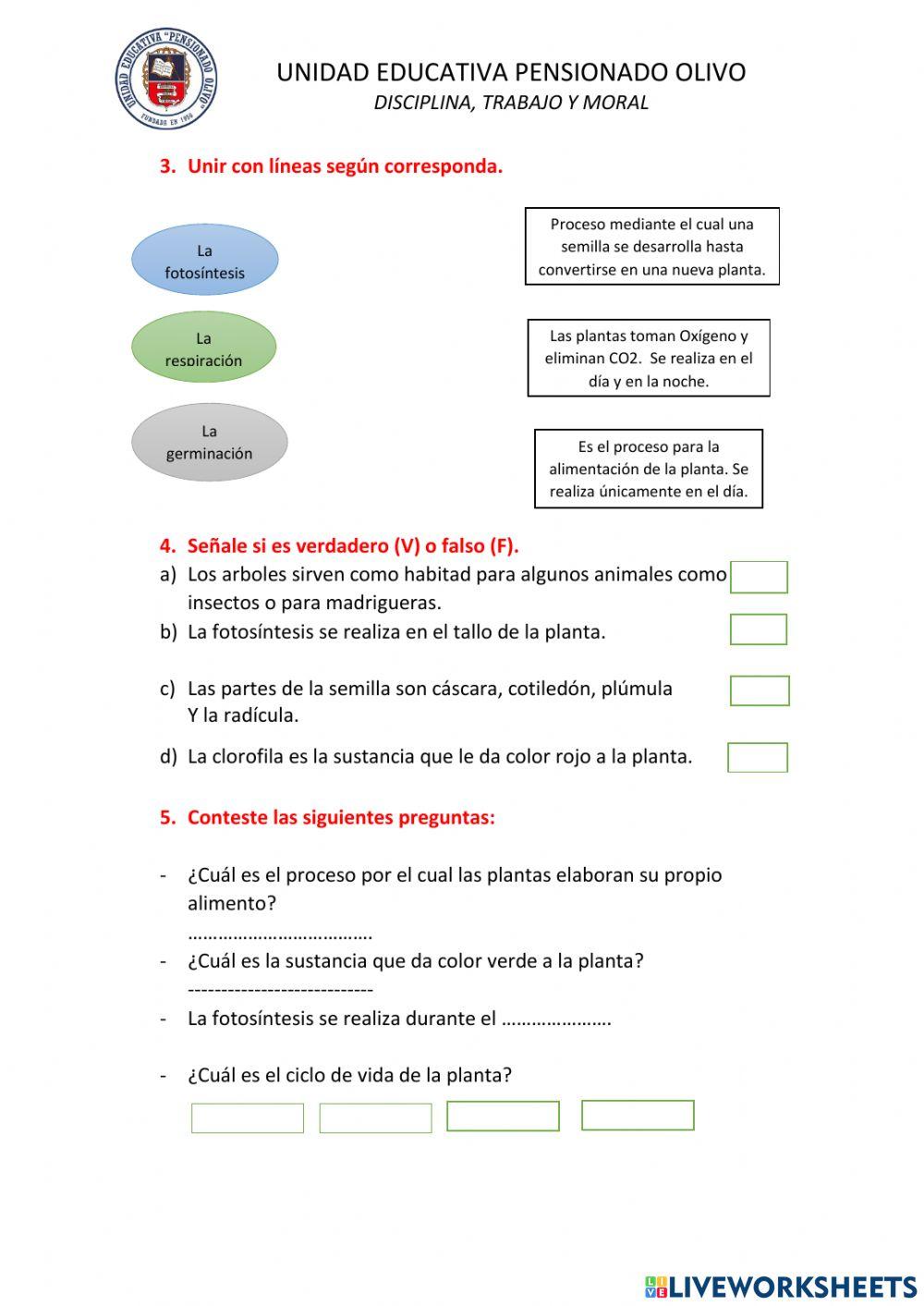 Los seres vivos: plantas y animales.