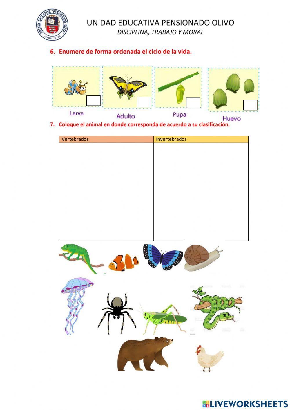 Los seres vivos: plantas y animales.