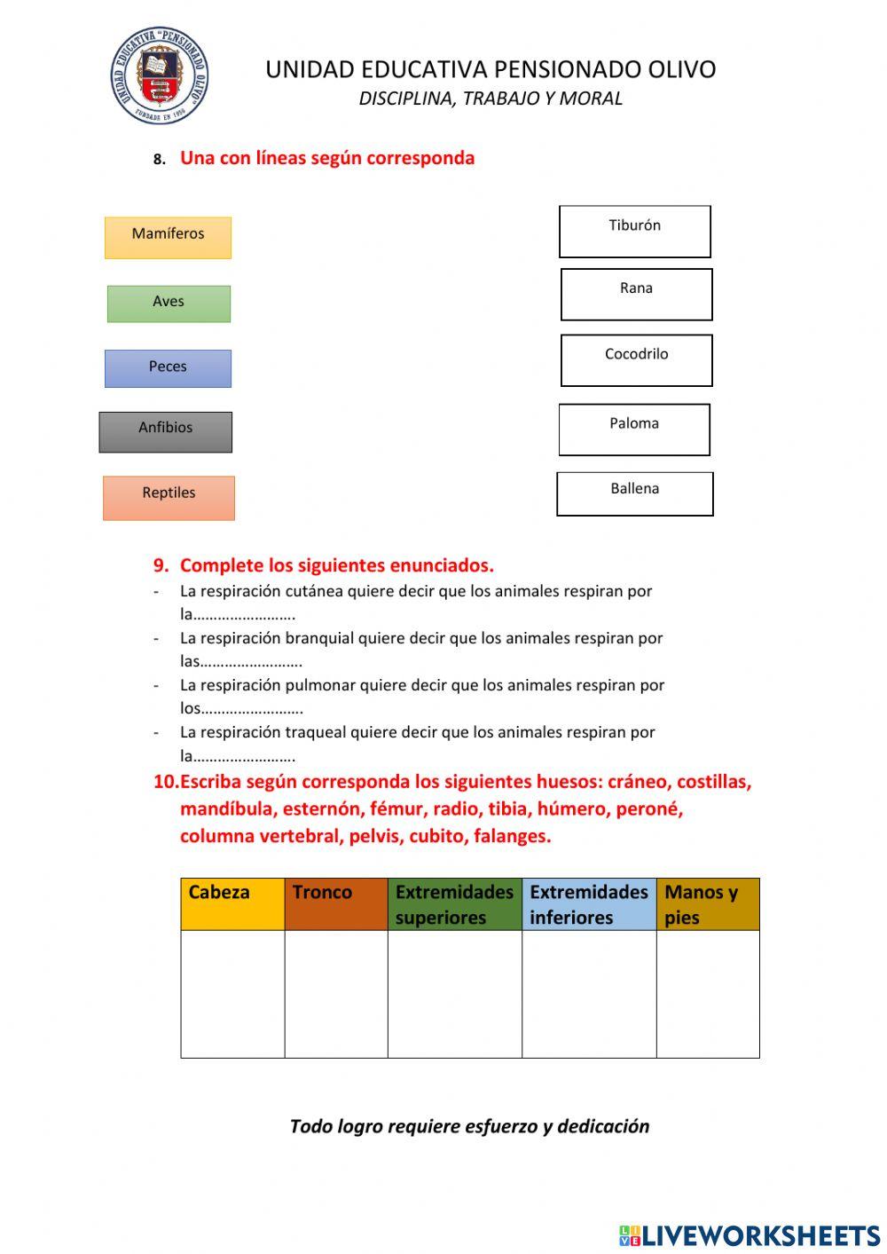Los seres vivos: plantas y animales.