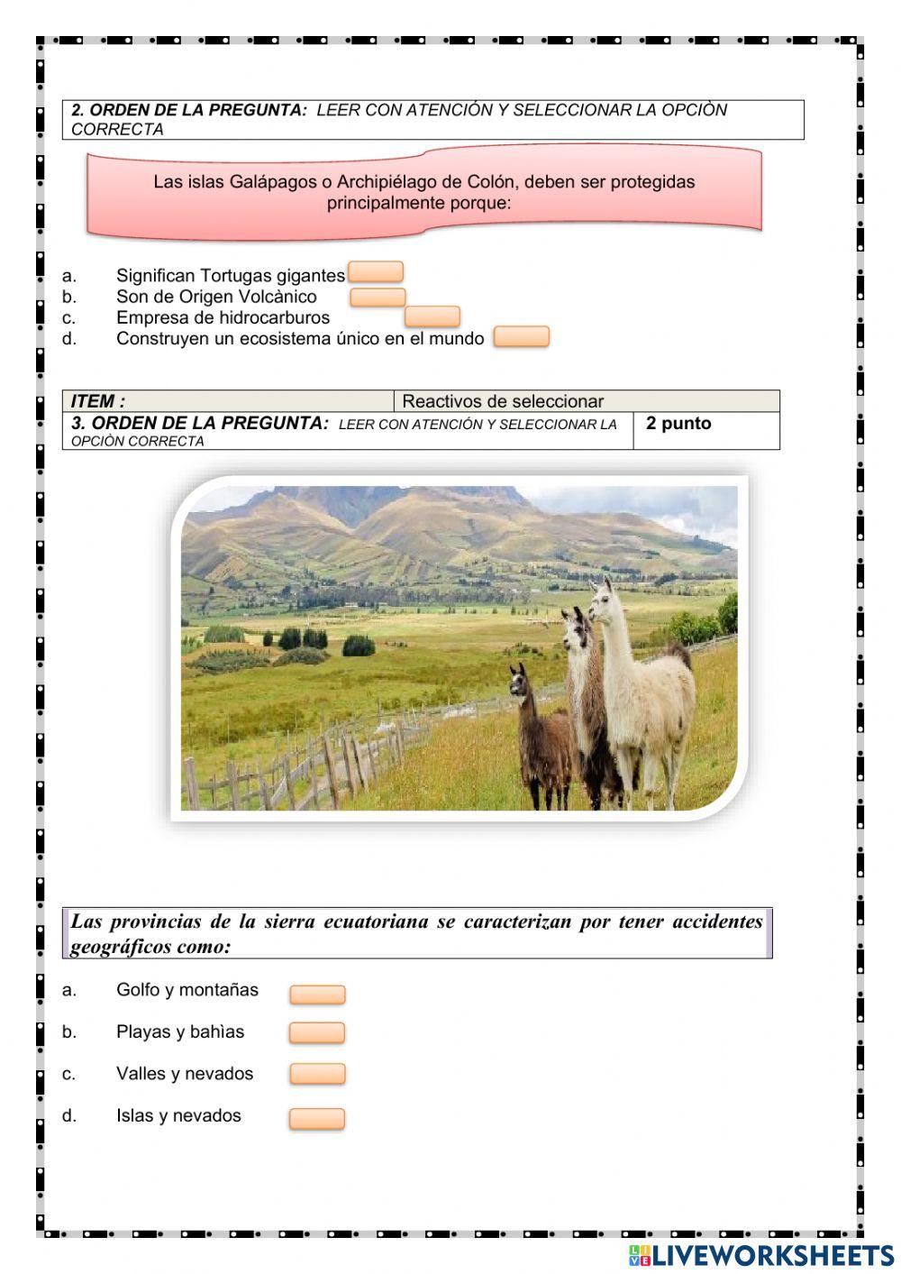 Evaluacion ii p ii q nee