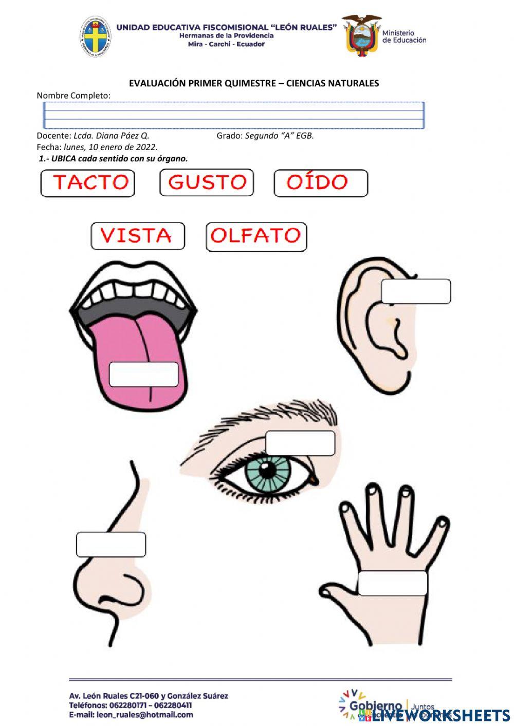 Evalaución Ciencias Naturales
