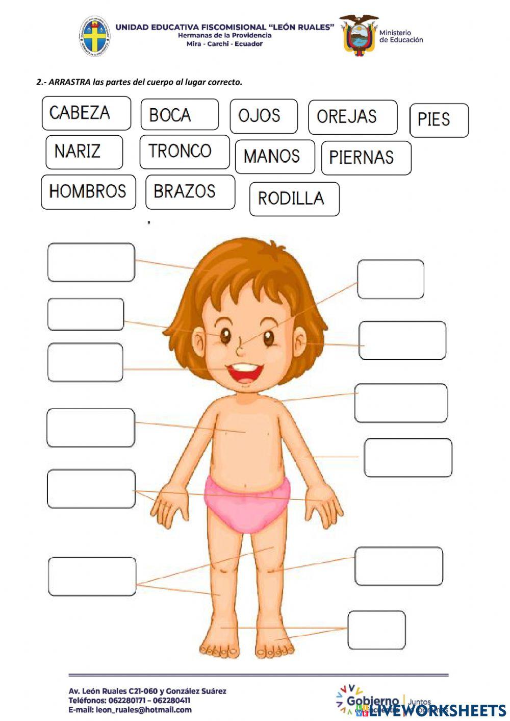 Evalaución Ciencias Naturales