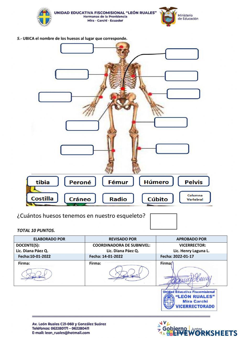 Evalaución Ciencias Naturales