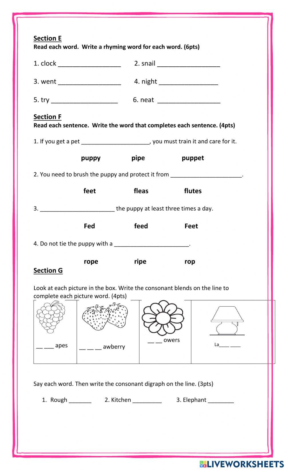 Phonics Test Term 1