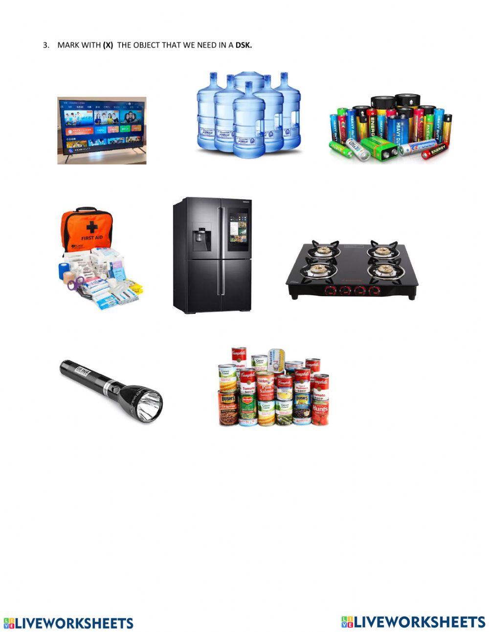 Natural Disaster Worksheet