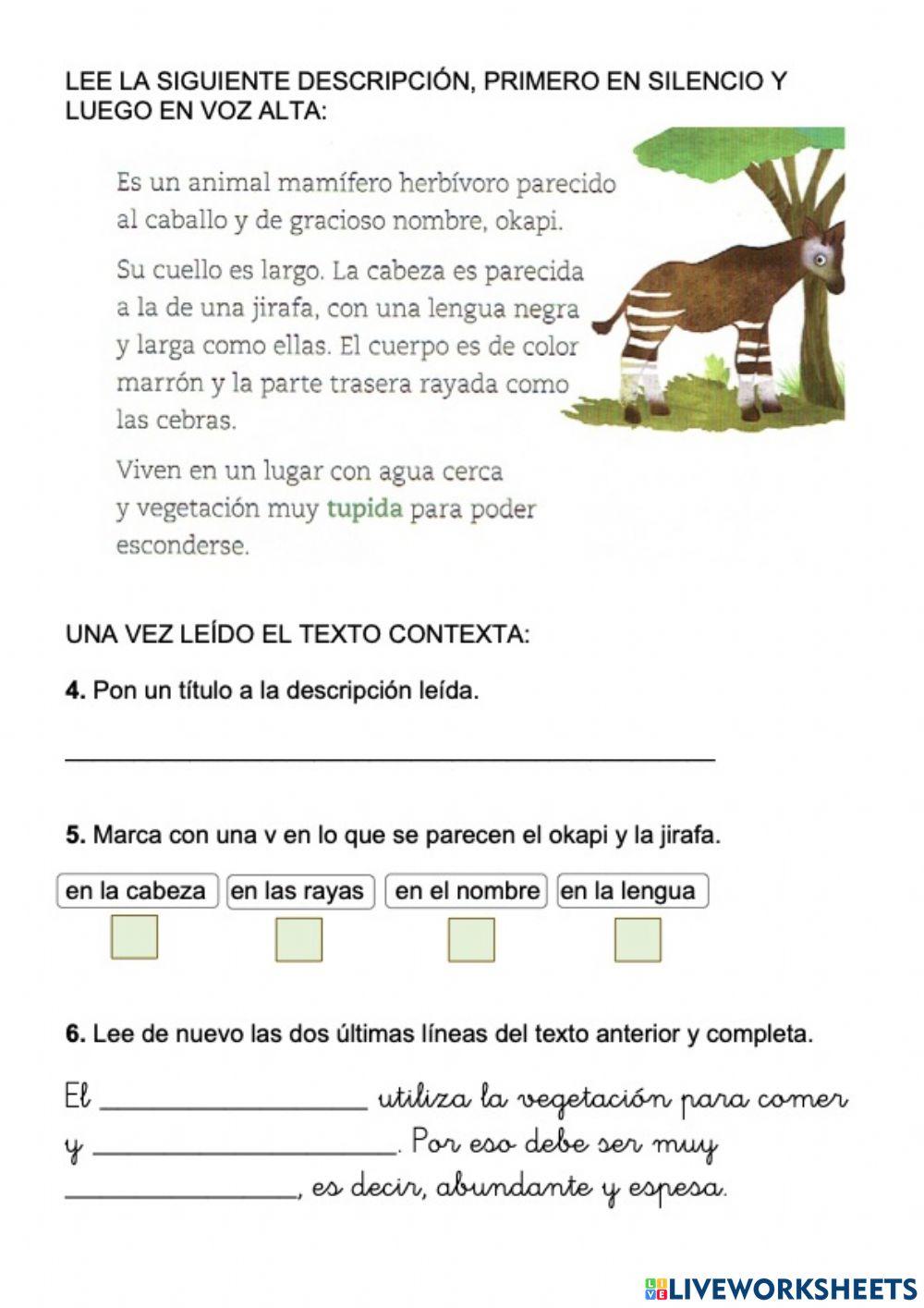 Comprensión lectora 17 Comprensión lectora 17