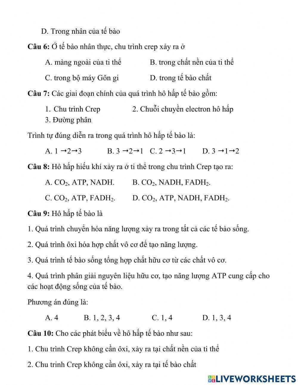 Bài 17.sinh 10. quang hop