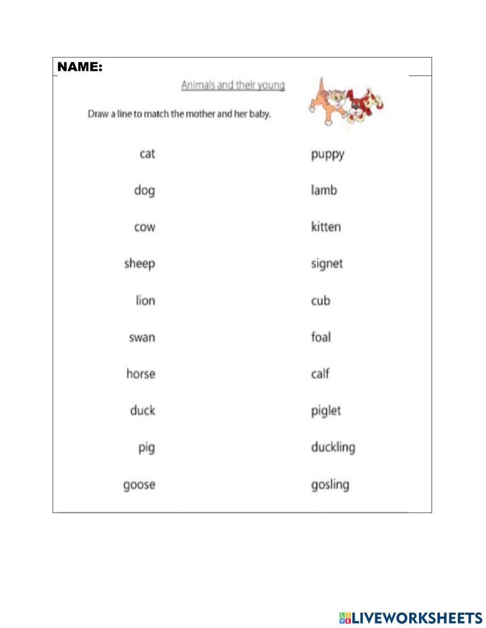 animals-and-the-free-interactive-worksheets-1818280