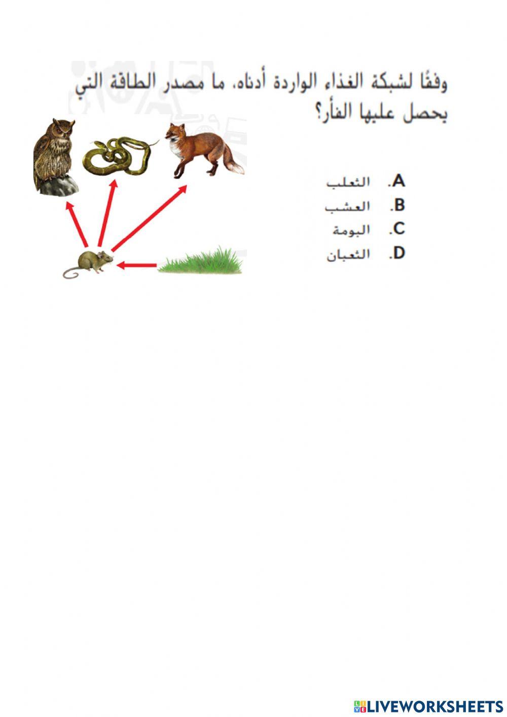 خصائص الحياة 2