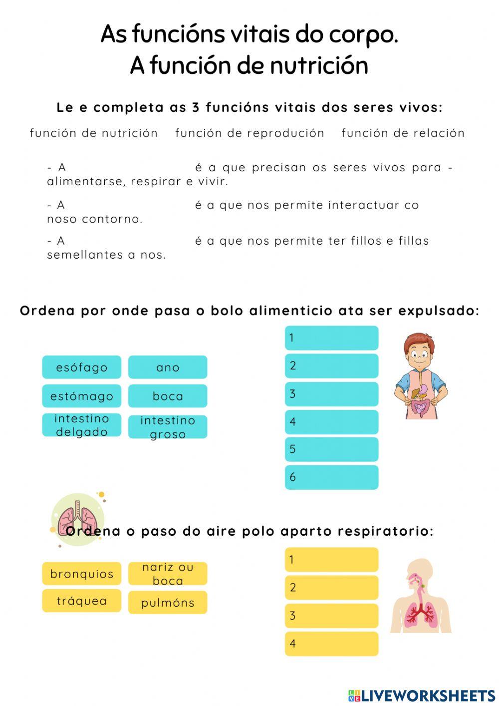 As funcións vitais do corpo. A función de nutrición