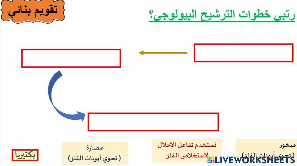 خطوات الترشيح البيولوجي