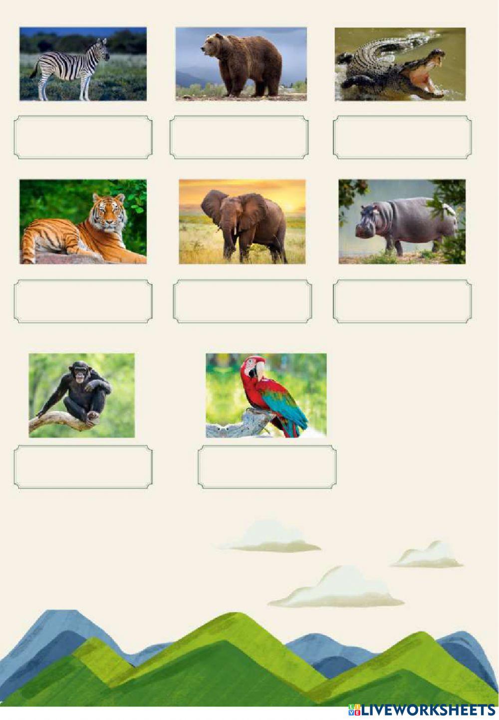 Vocabulario ingles animales