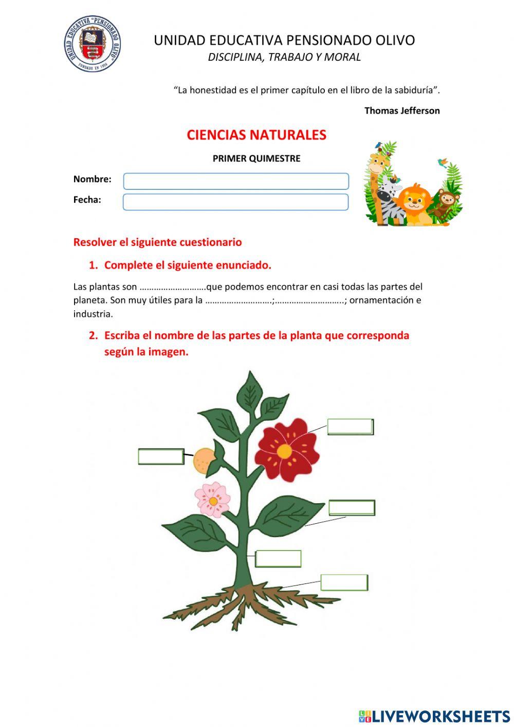 Los animales y las plantas