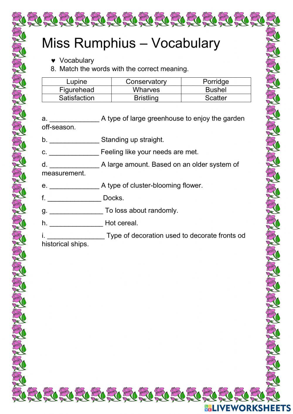 Book -Miss Lupine Lady- - exercise