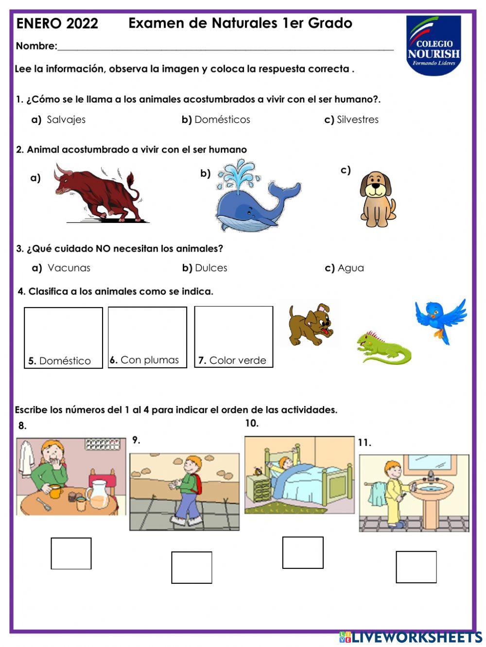 Examen de Naturales 1ero