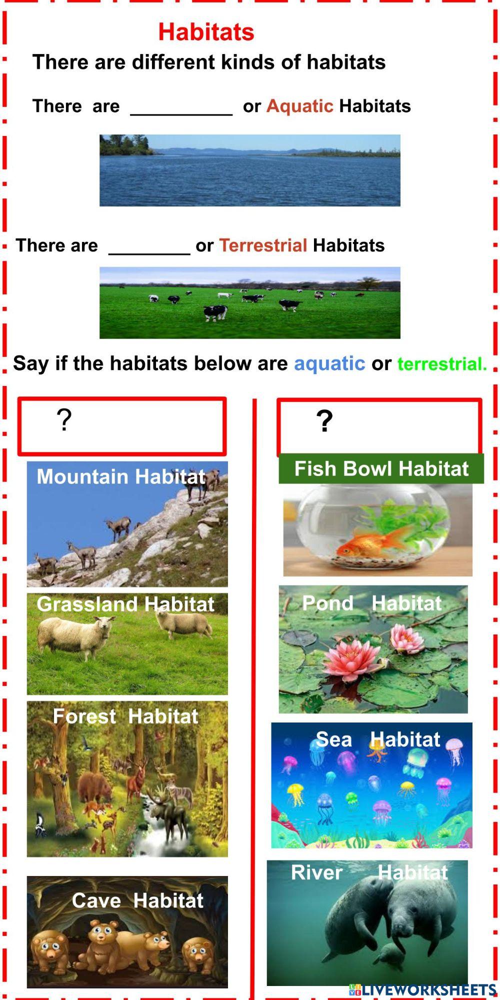 Aquatic And Terrestrial  Habitats