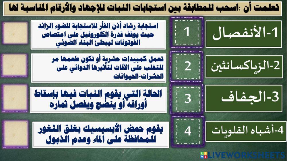 استجابة النبات للاجهاد