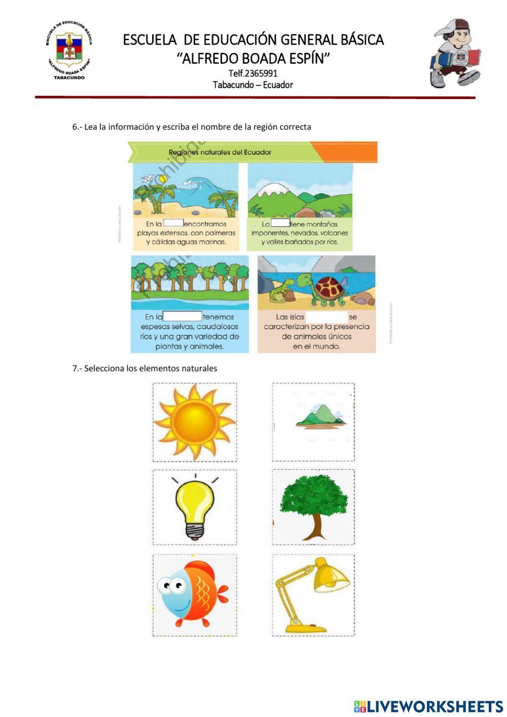 Evaluacion estudios sociales