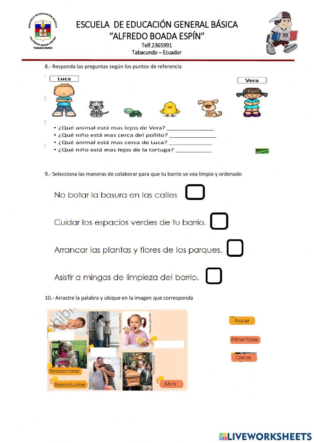 Evaluacion estudios sociales