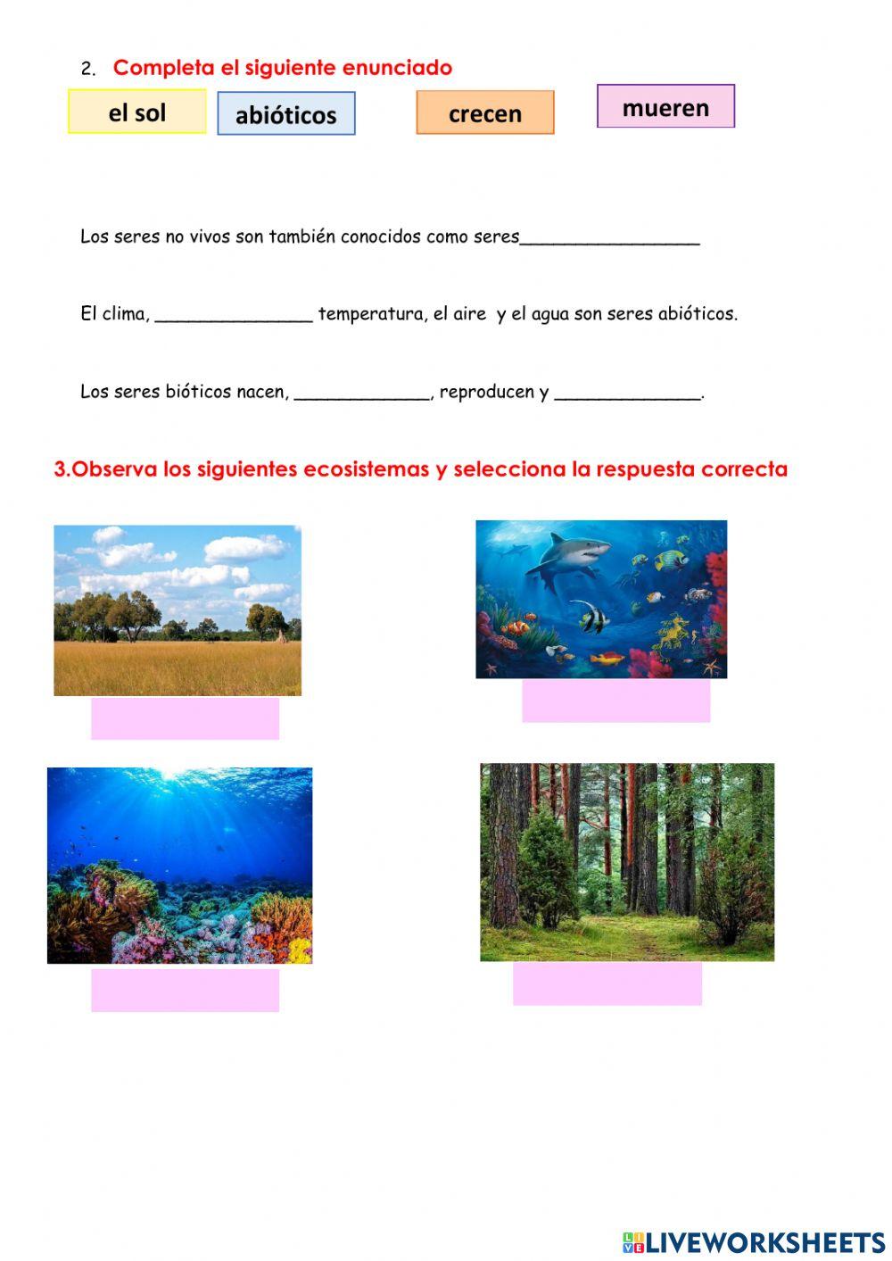 Quimestral ciencias naturales