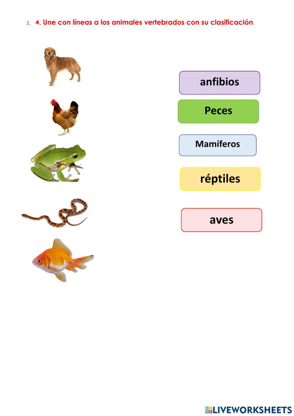 Quimestral ciencias naturales