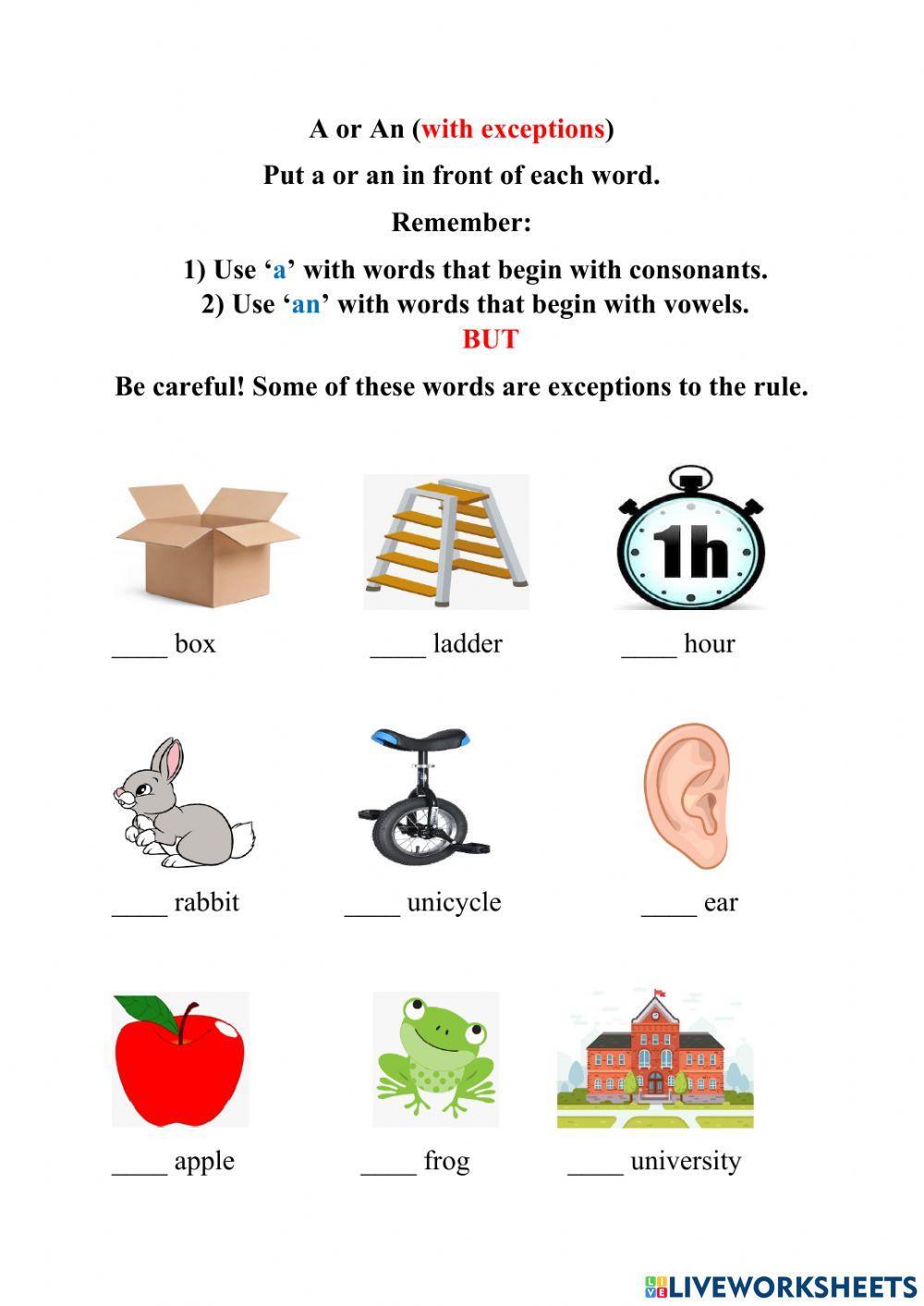 The Use of a and an (with exceptions) worksheet | Live Worksheets