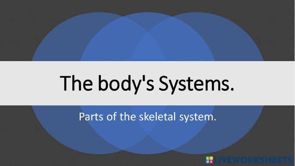 The body's Systems.