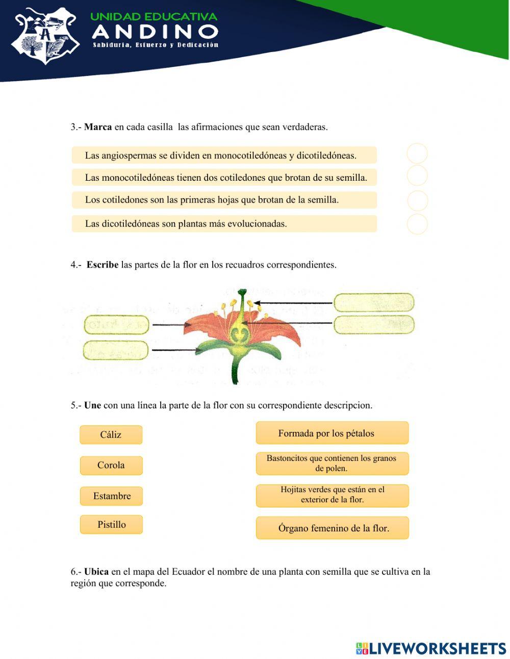 Evaluación CCNN Andino 4to año