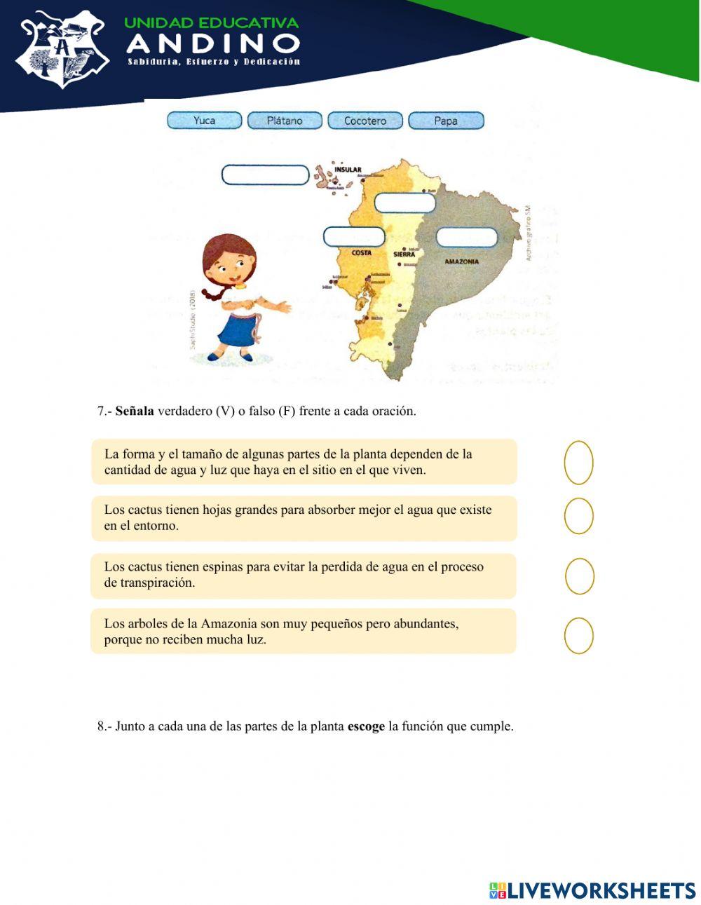 Evaluación CCNN Andino 4to año