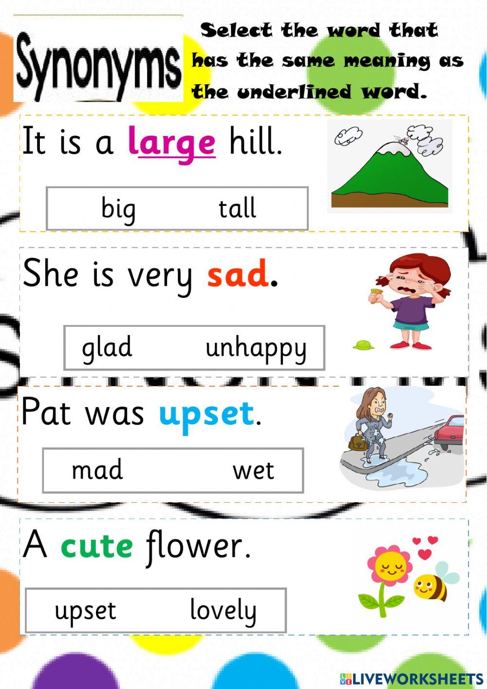 Use Of A And An Grade 2