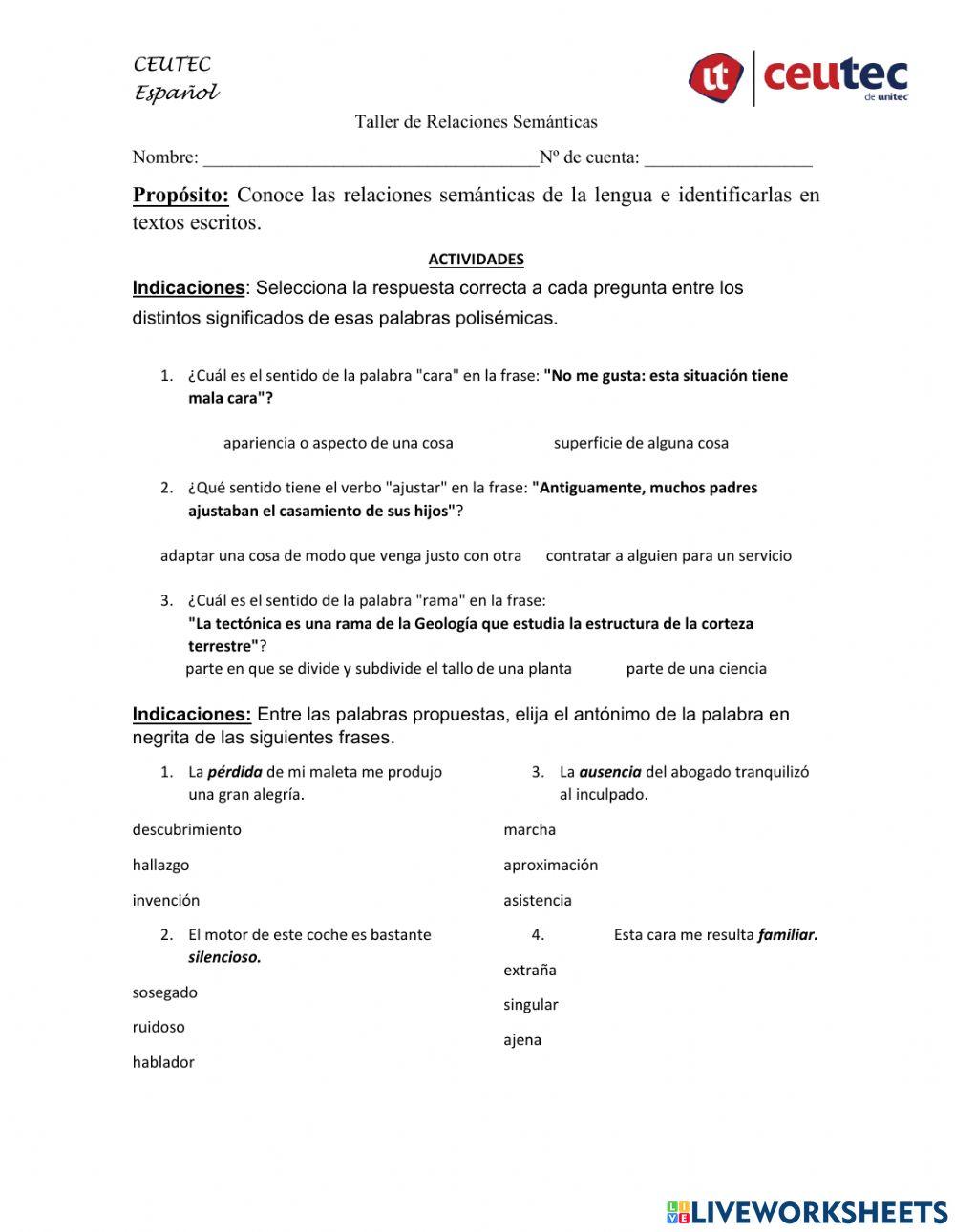 Taller de relaciones semánticas