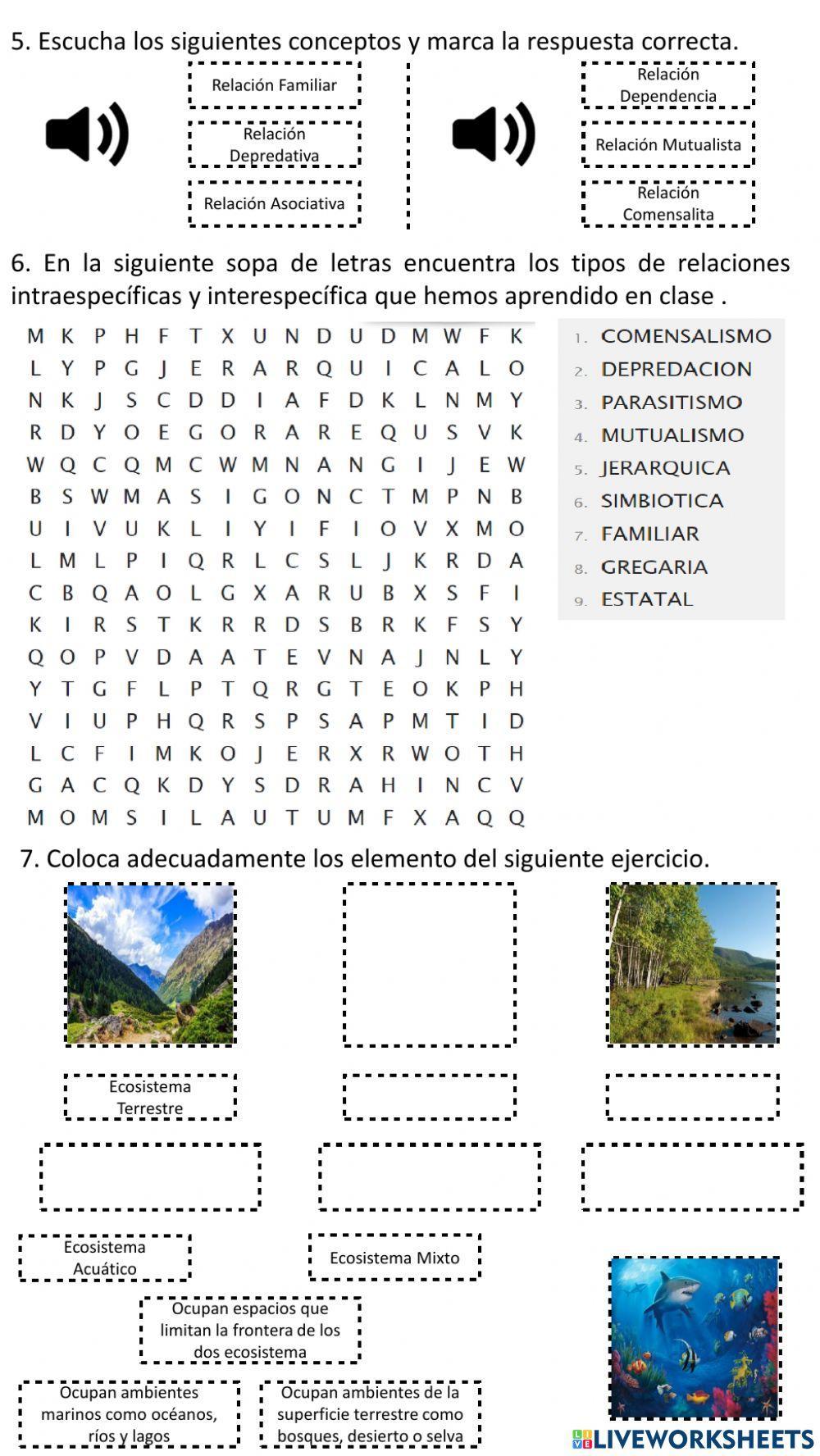 Taller Relaciones Interespecíficas, Intraespecíficas y Ecosistema