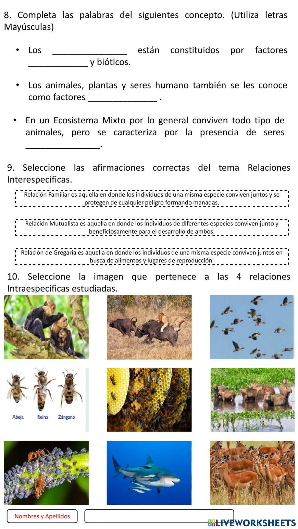 Taller Relaciones Interespecíficas, Intraespecíficas y Ecosistema