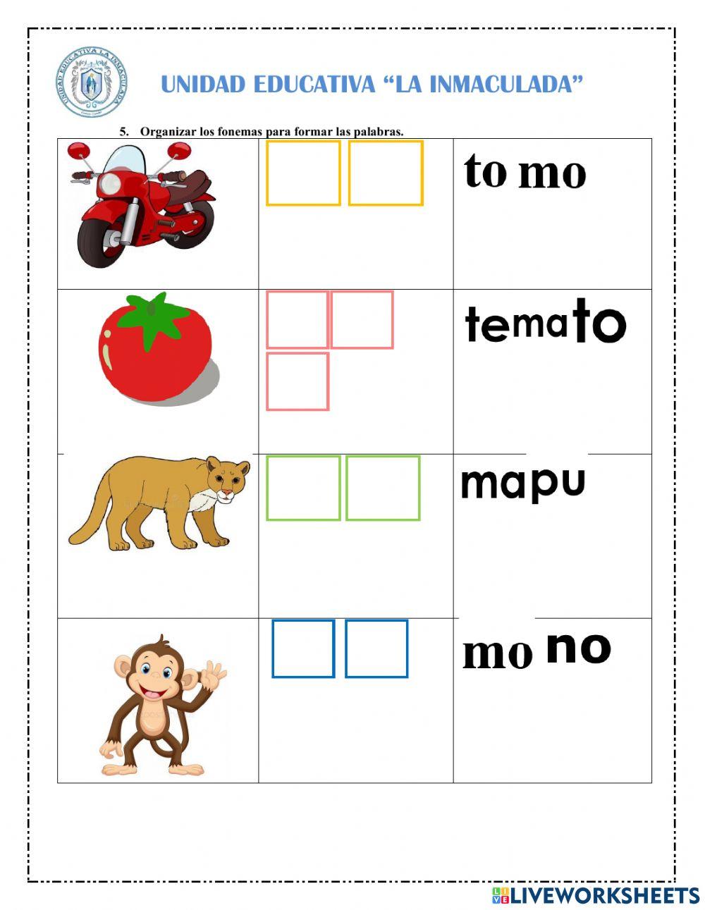 Producto final-segundo-de-básica